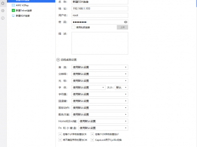 推荐一个国产开源的 .NET 轻量免费的远程连接管理工具